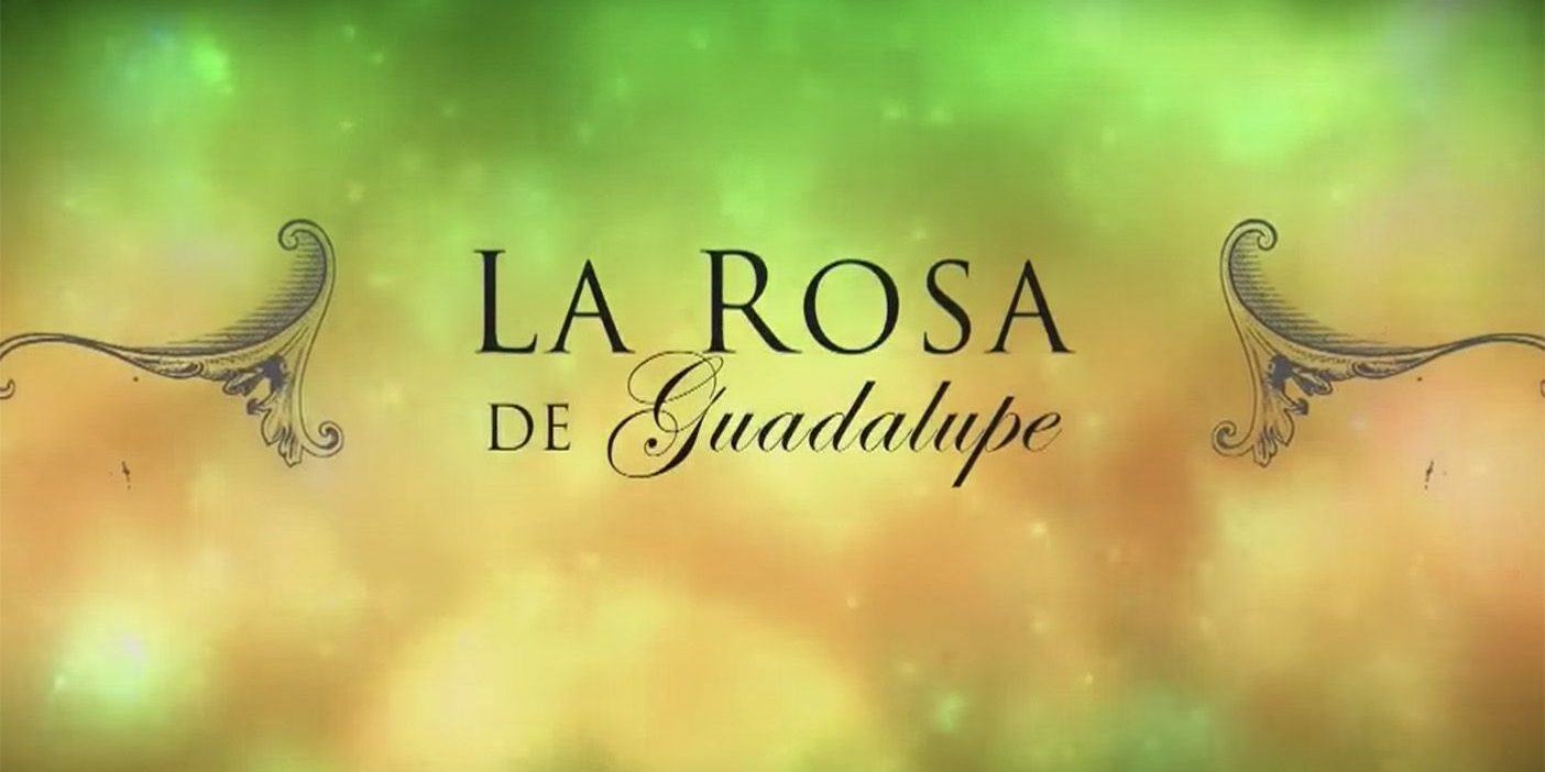 la rosa de guadalupe
